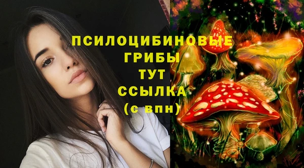 марки nbome Шарыпово