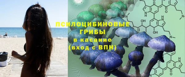 синтетический гашиш Щёлкино