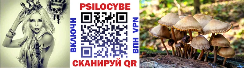 Галлюциногенные грибы мицелий Евпатория